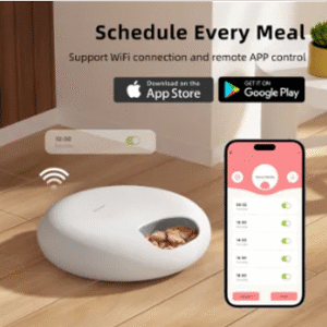 Augue adipiscing euismod