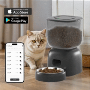 Augue adipiscing euismod