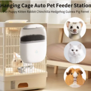 Augue adipiscing euismod